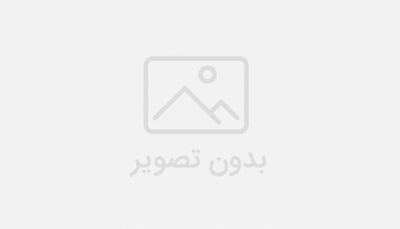 نشان جوان و شاد و پرتحرک دوقلو بسیار فعال شده